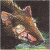 Shearakrory's Avatar