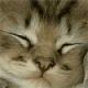 SalCruill's Avatar