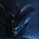 Xenomorph's Avatar