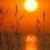 Khadrexford's Avatar