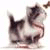 Nimiappemia's Avatar