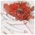 Ingenuecooste's Avatar