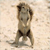 Cefunfant's Avatar