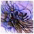 CushishPiosse's Avatar