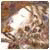 foopytigo's Avatar