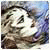 Hiepttoidge's Avatar