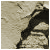 vtcadobephot's Avatar