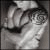 chuk_and_geck_d's Avatar